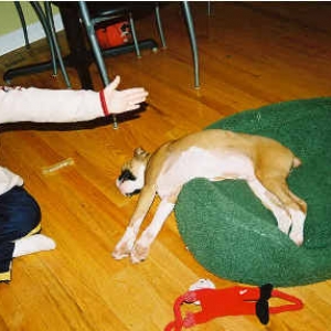 Sleepin again!