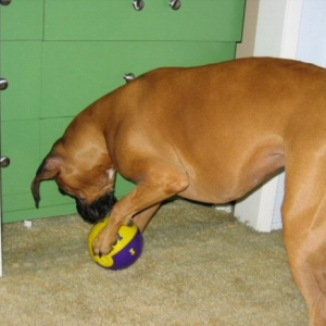 Layla with her new toy!