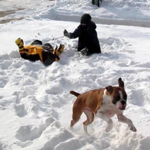 Max flies over the snow