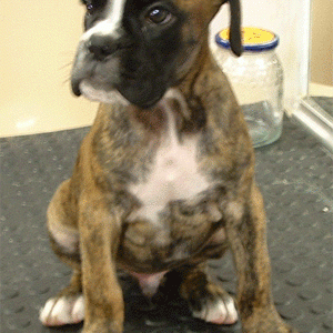Baby Aragon... So cute!