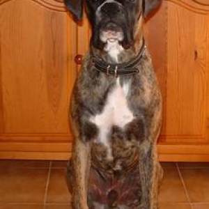 "I`m getting bigger!!"