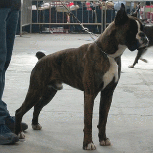 A picture of Aragon`s dad!