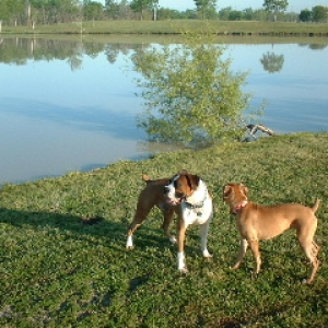 Day at the Park