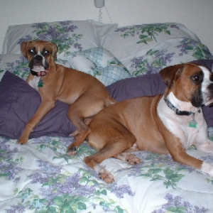 King and Queen on the bed of course