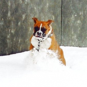 this white stuff is fun!
