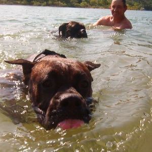 At the lake