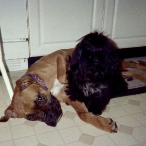 They are the best of friends!