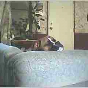 Couch Tater