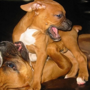 Layla and her new baby brother
