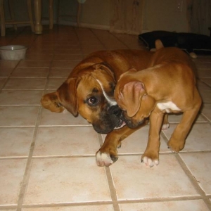 Layla and new brother