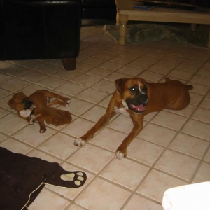 Layla and Oliver hanging out