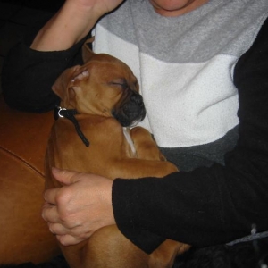 Oliver sleeping with grandma