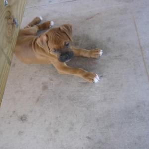 Baby Oliver