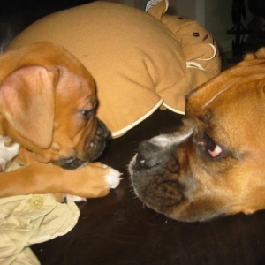 Layla and Oliver nose to nose