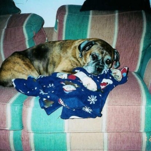 Lacey