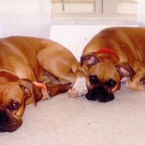 Abby and Baxter