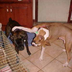 Jaimee and her foster sister