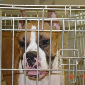 Jaimee in jail