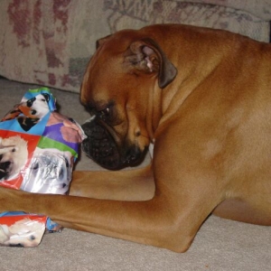 2nd Birthday (1)