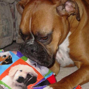 2nd Birthday (2)