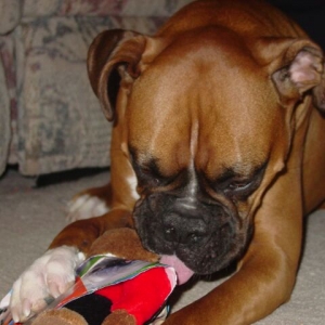 2nd Birthday (3)