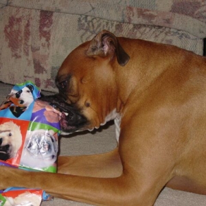 2nd Birthday (4)