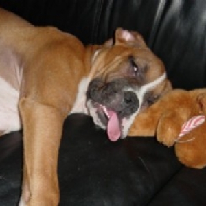 ALL WORN OUT.....