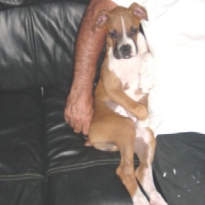 COUCH POTATOE..