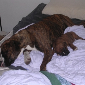 Roxy And King