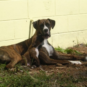 Roxy And King