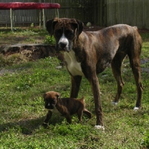 Roxy And King