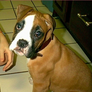 Soooo Cute!