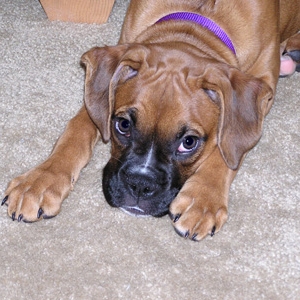 What a cute face!