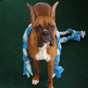 I love my fleece rope!