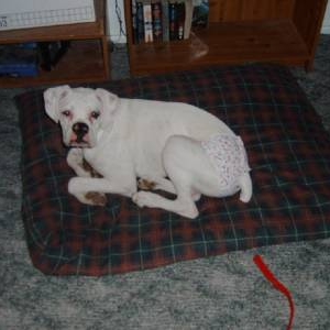 Cracker finds his feminine side