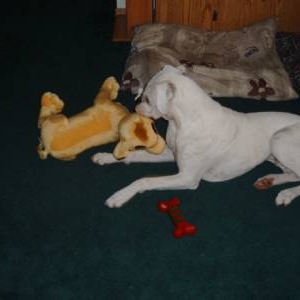 Cracker's favortie Present