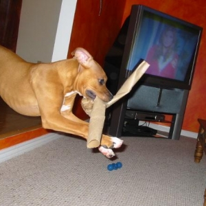 its mine now!!!