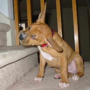 No!! i do not want to go to bed yet!!