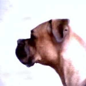Waiting at the window