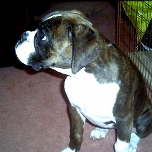 Molly