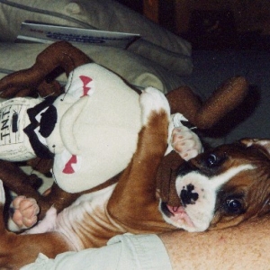 Mnumzane - puppy