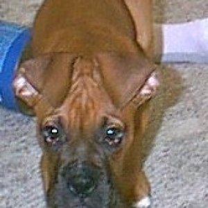 Funny looking ear day!