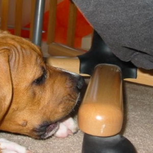 reaaady!!..steeaady!!!......OUCH!!!!