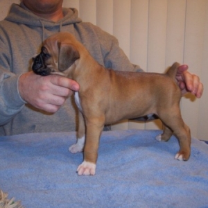 Our New Baby!