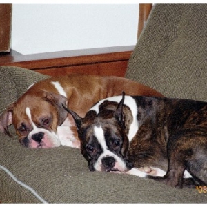 Tyson and Nick