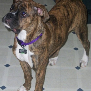 Proud girl