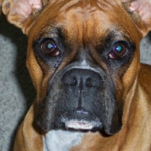 Our Bella Princess
