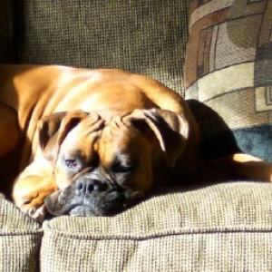 Oh, how I love the sun