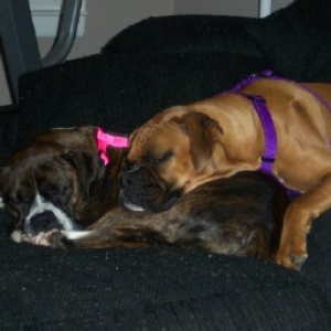 Cherished moments