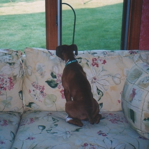 Can't I please go out and play?